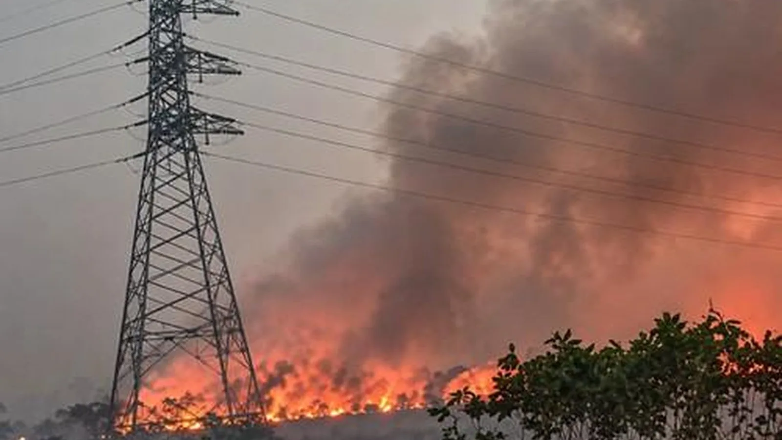 Kabut Asap Memburuk di Sarawak, Malaysia Pertimbangkan Rencana Perayaan Hari Kemerdekaan